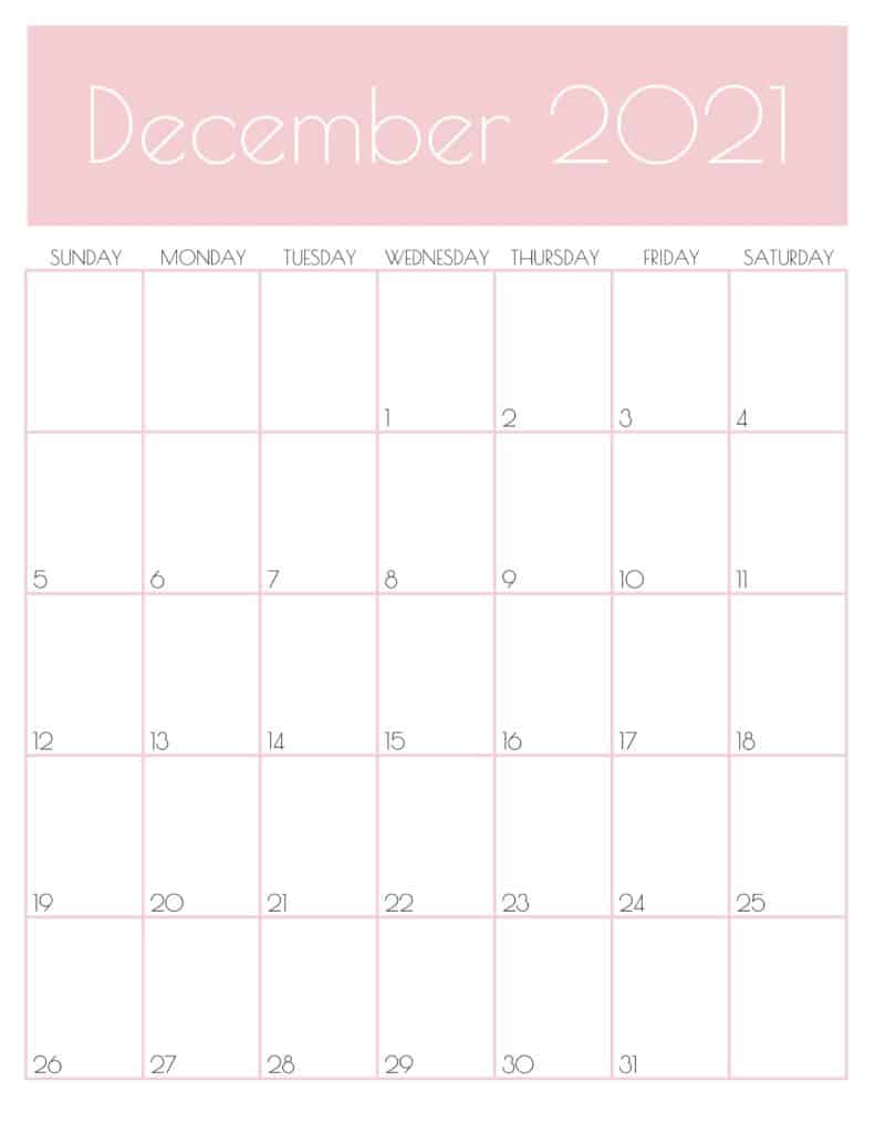 Cute December 2021 Wall Calendar Pink Design