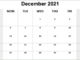 Fillable December 2021 Calendar Printable