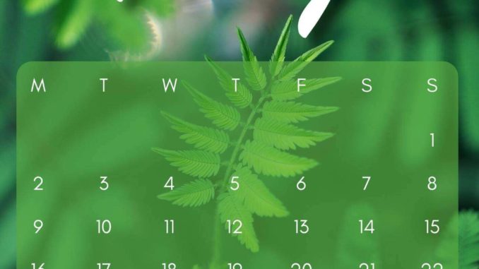 May 2022 Mobile Calendar Leaf Wallpaper